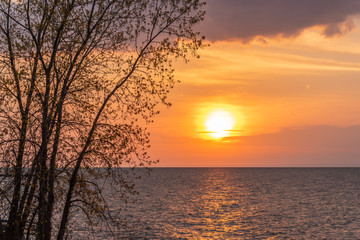 Fototapeta na wymiar Orange sunset over water with tree silhouette 