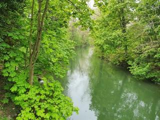 Obraz premium waterfall in the forest