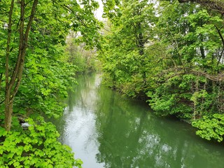 waterfall in the woods