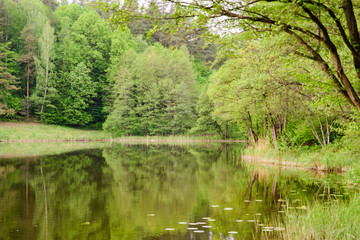 Fototapeta na wymiar jezioro pośród drzew, Jegłóweczek pod Górą zamkową w Szurpiłach