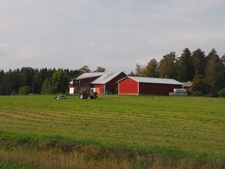  Farm on the green field