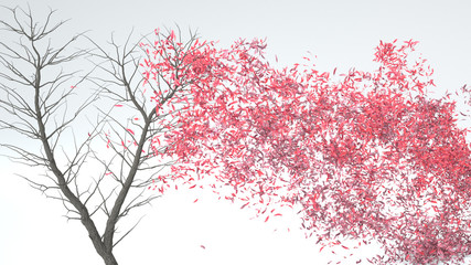 Growing Tree in a shape of Heart. Alpha Channel. 3D rendering.