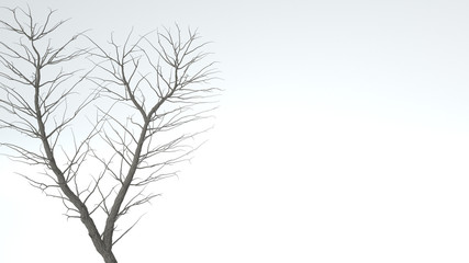 Fototapeta na wymiar Growing Tree in a shape of Heart. Alpha Channel. 3D rendering.