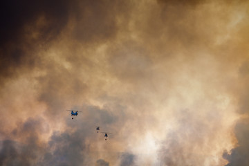 military helicopters putting out wildfires