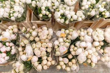 Warehouse refrigerator, Wholesale flowers for flower shops. White peonies in a plastic container or bucket. Online store. Floral shop and delivery concept.
