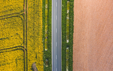 Aerial shot of agricultural landscape. Straight narrow road between sunny green grass, rapeseed and a brown field - Yorkshire, England, Spring 2019