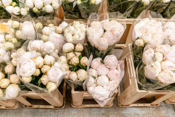 Warehouse refrigerator, Wholesale flowers for flower shops. White peonies in a plastic container or bucket. Online store. Floral shop and delivery concept. © malkovkosta