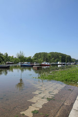 River flooding after rains, flooding of trees and the coastal zo
