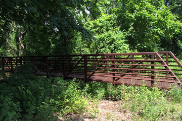 Path Along the Brook (341)