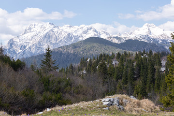 Casual and active healthy man hiking in Alpine mountains with trekking poles