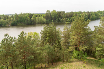 Jezioro Bolesty, widok z wieży widokowej © Szymon Gryko