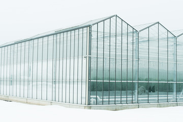 greenhouse for vegetables in the winter outside.