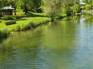 japanese garden with pond