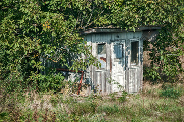 Old weathered abandoned grunge neglected small wooden bungalow among fresh green vegetation