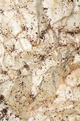 Textured Brown tea Leaves Rough paper Multicoloured Background