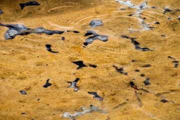 water with yellow pollution caused by organic matter in a lake in brazil