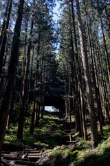 Obraz premium 神社の風景