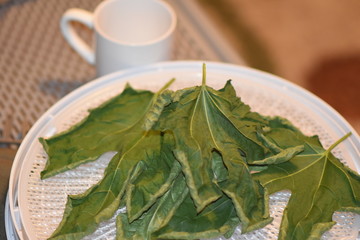 Dehydrated Fig Tree Leaves for Tea