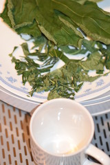 Dehydrated Fig Tree Leaves for Tea