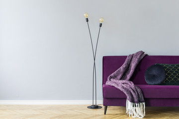 Minimalistic home interior with purple velvet design sofa, black lamp, elegant blanket and pillows....