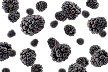 Falling blackberry isolated on white background, selective focus