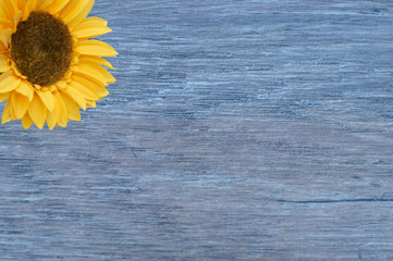 sunflower on wooden background with copy space for your text