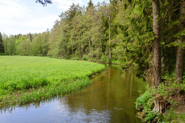 Rzeka Rospuda, zielona łąka i stary las, święte miejsce