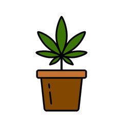Cannabis plant in a flower pot. Medical marijuana. Growing cannabis. Isolated vector illustration on white background.