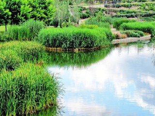 Obraz premium PAISAJE 1
