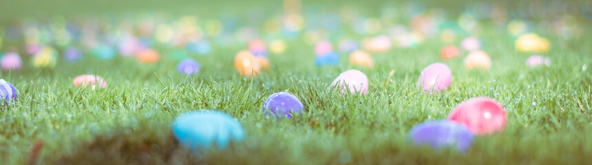 Lots of Colorful Easter Eggs Scattered in Green Grassy Field