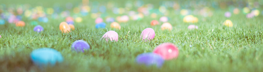 Lots of Colorful Easter Eggs Scattered in Green Grassy Field
