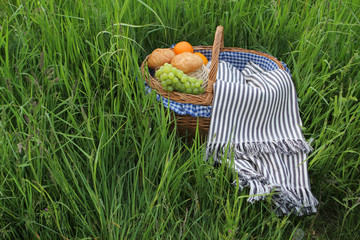 Picnic basket with fruit and bakery on red cloth in garden, close-up