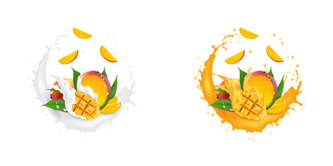 Juice milk yogurt mango cubes splashing. Juicy mango splash packaging template. Falling slices.