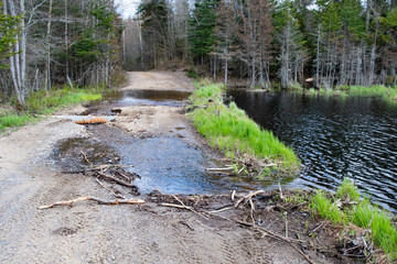 Forest road washout
