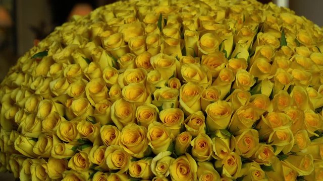 A tilting, extreme close up shot of a big bunch of fresh, yellow roses.