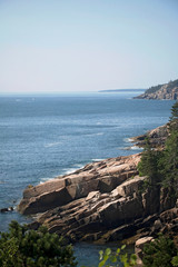 Ocean Path Cliff, Acadia National Park, Bar Harbor Maine. Walking path along the ocean. Lots of rock formations, plants, waves and wildlife along this beautiful path.