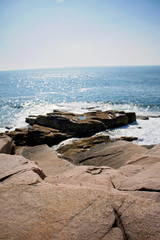Ocean Path Cliff, Acadia National Park, Bar Harbor Maine. Walking path along the ocean. Lots of rock formations, plants, waves and wildlife along this beautiful path.