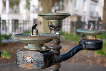 Fototapeta premium Park Drinking Water Fountain
