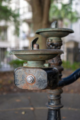 Park Drinking Water Fountain