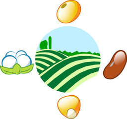 Agriculture - Farm With soy, bean, corn and cotton seeds