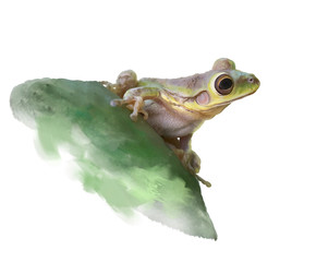 Green Frog on a cactus, watercolor