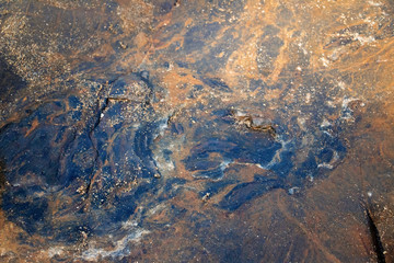 Rocks with Striations and Grooves at Sand Beach, Acadia National Park, Bar Harbor Maine A gorgeous beach surrounded by interesting rocks, cliffs and forest.
