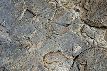 Large Rocks with Striations and Grooves on the Shore Path Bar Harbor Maine Unique rocks with interesting and intricate textures. Beautiful path along the Atlantic ocean featuring all types of rocks.