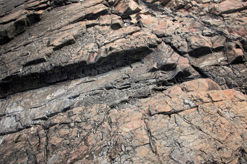 Fototapeta premium Large Rocks with Striations and Grooves on the Shore Path Bar Harbor Maine Unique rocks with interesting and intricate textures. Beautiful path along the Atlantic ocean featuring all types of rocks.