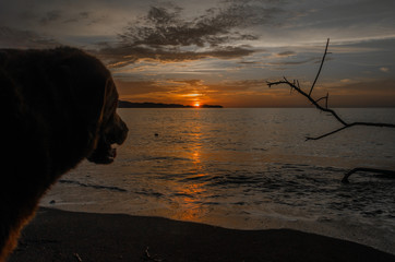 atardecer 