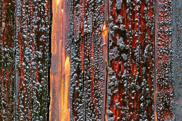 Creosote soaked power transmission pole