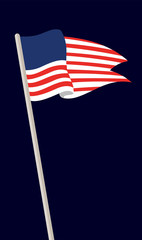 Vector illustration. United States of America flag.