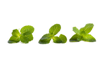 fresh mint leaves isolated on white background