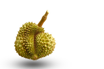 Durian : an oval spiny tropical fruit containing a creamy pulp. Despite its fetid smell, it is...