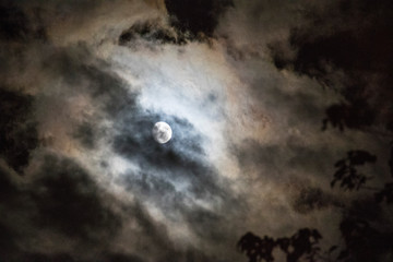Obraz na płótnie Canvas Cloudy Moonlight